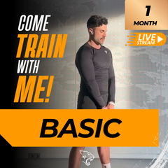 BASIC &amp; MIT LIVE